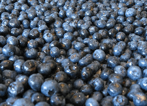 Screen Shot 2013-02-11 at 5.09.07 PM